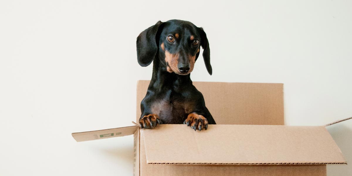 Now Where Do I Put Them?